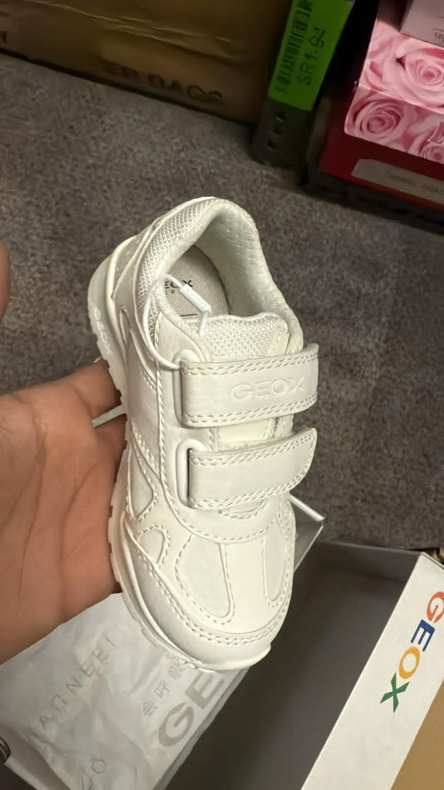 Geox Pavel J0415C Shoes - White